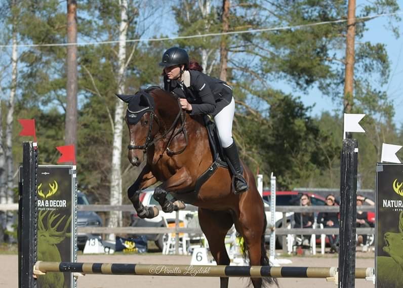 Champion hopp Champion hopp